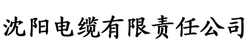 成人版短视频电缆厂logo